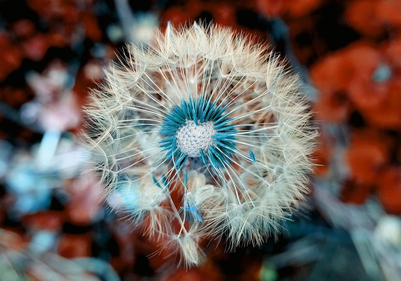 Wildflowers Bouquet